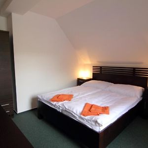 Pokój typu standard z łóżkiem king-size